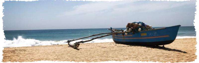 picture of a boat on a shore